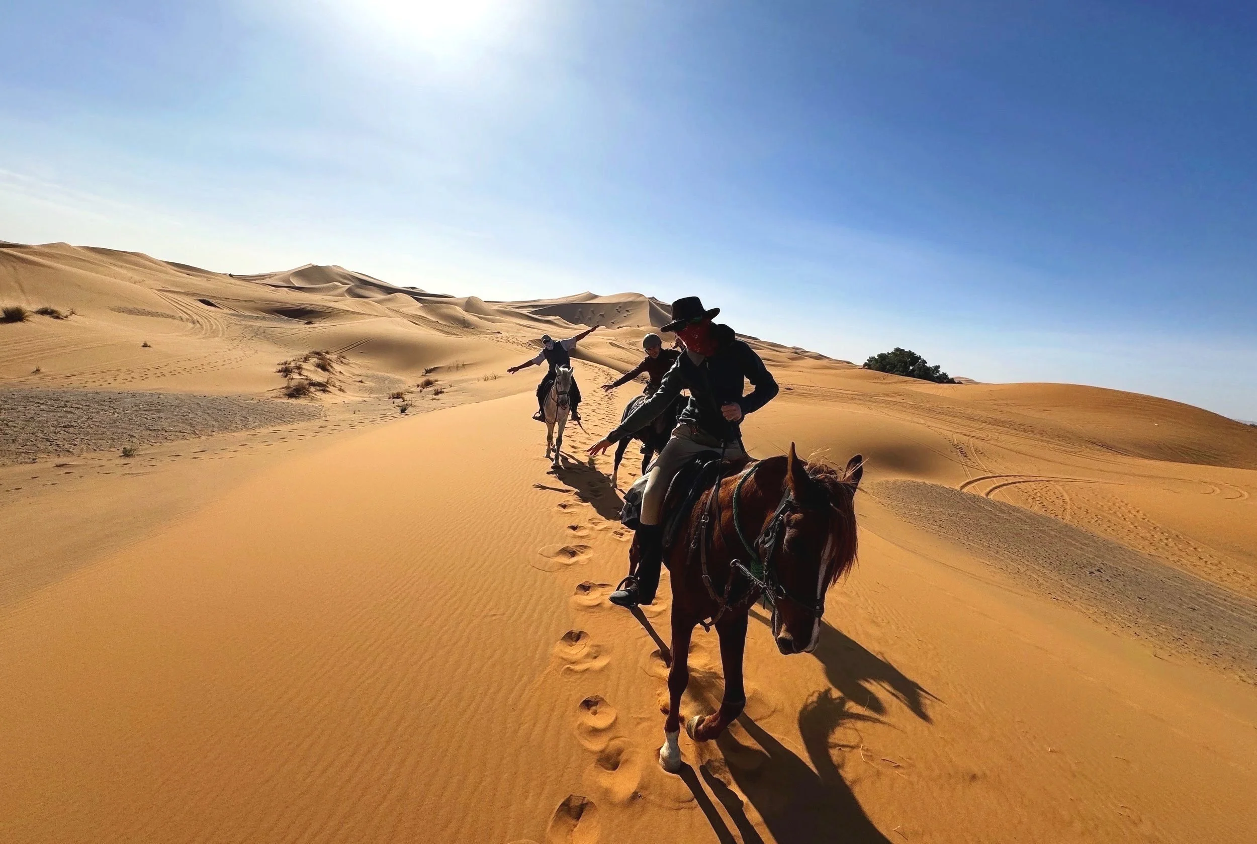 Morocco Desert & Dunes Horse Safari Riding Muse