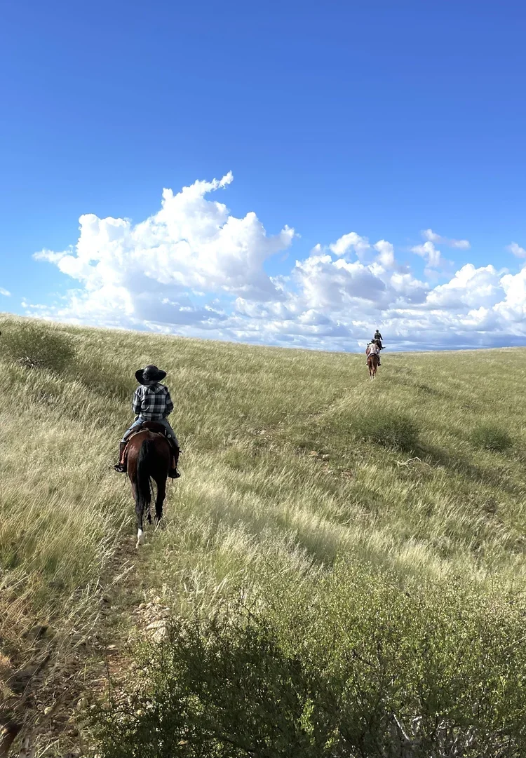 1_Adventure_Namibia_ RidingMuse_Gallery_IMG_4236.jpeg.webp