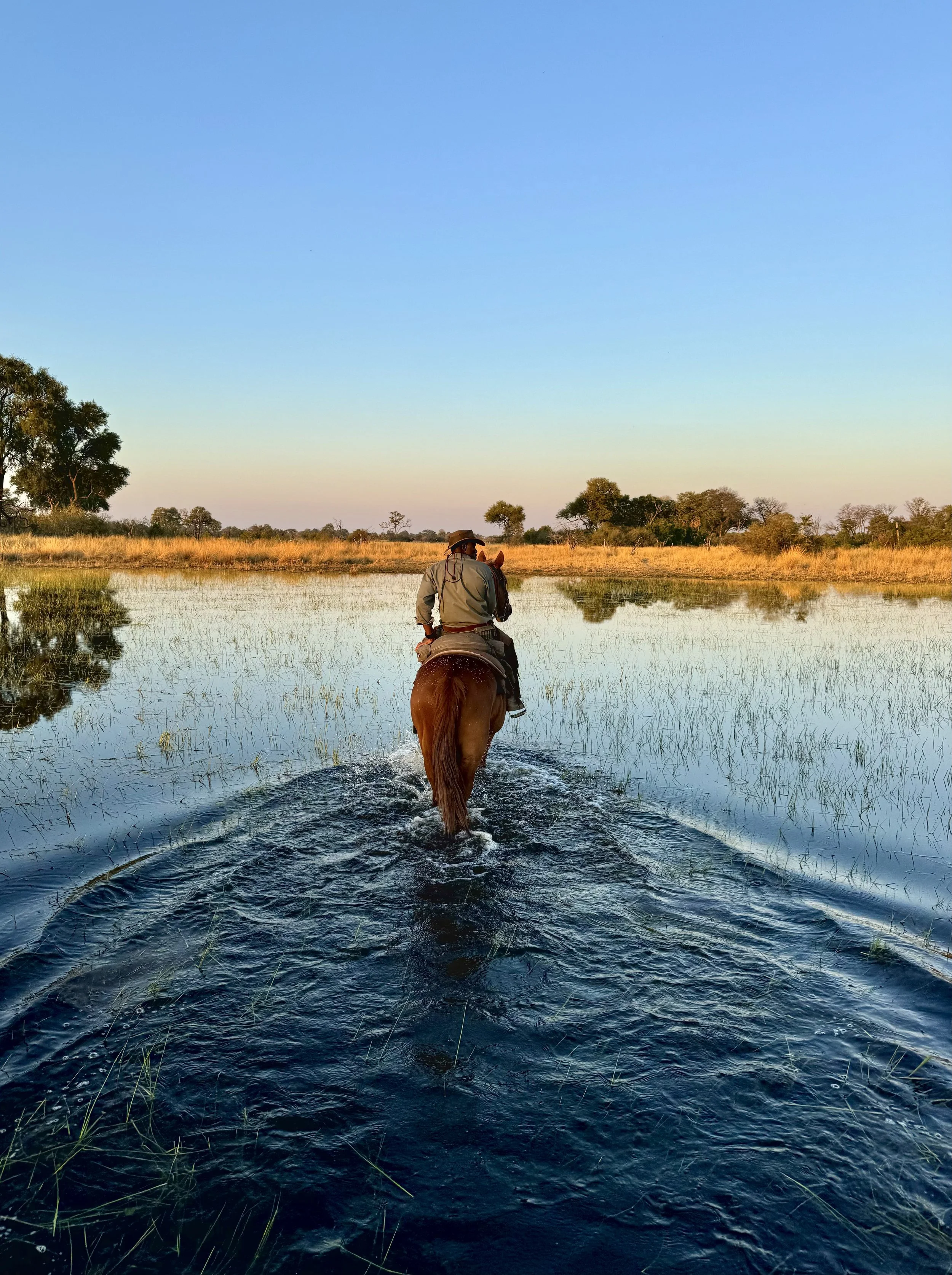 Botswana Macatoo Delta Horse Safari Riding Muse
