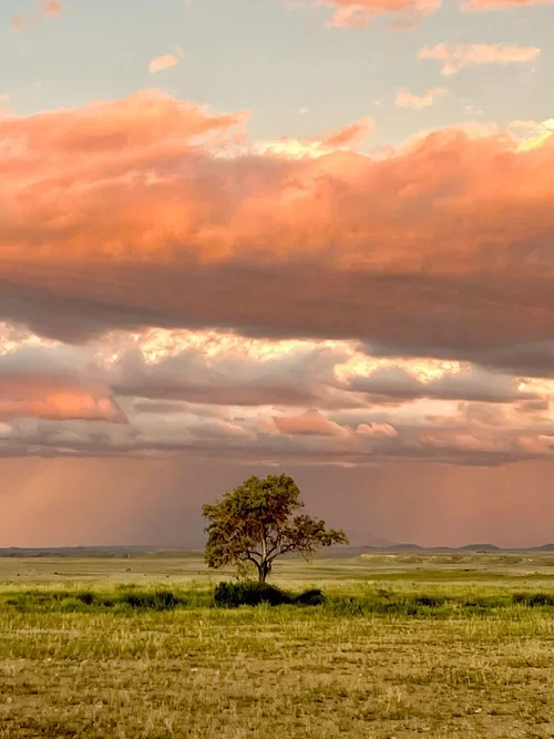 6_Landscapes_Open_Spaces_ RidingMuse_Gallery_IMG_5621.jpeg.webp