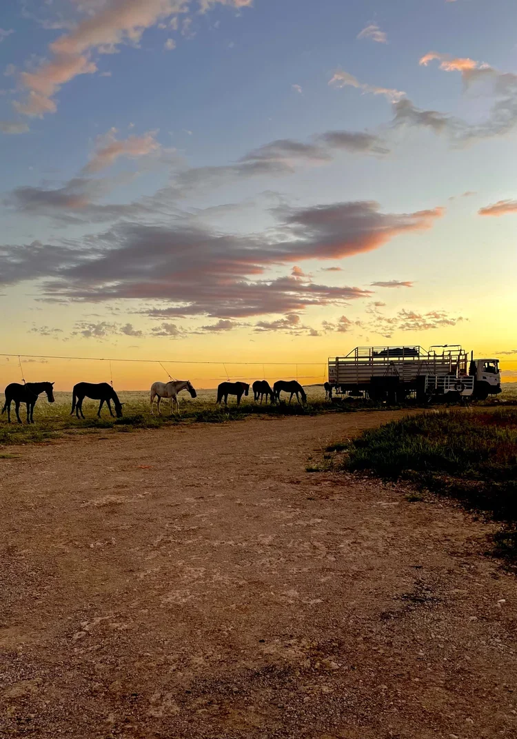 5_Adventure_Namibia_ RidingMuse_Gallery_IMG_4298.jpeg.webp