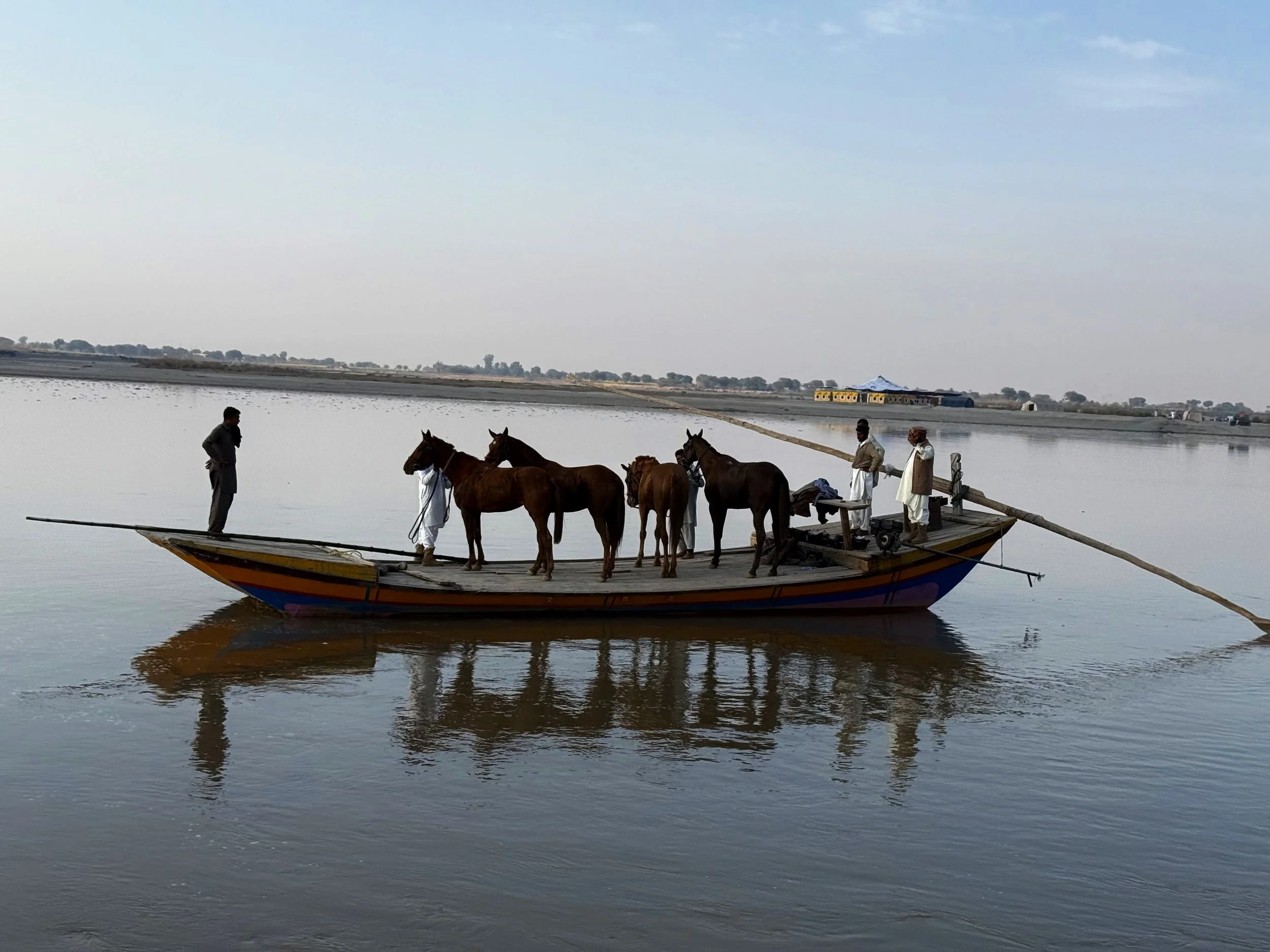 Pakistan Nurpur Noon Horse Safari Riding Muse