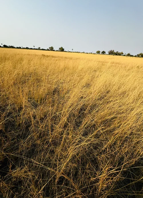 7_Landscapes_Open_Spaces_ RidingMuse_Gallery_IMG_2731.jpeg.webp