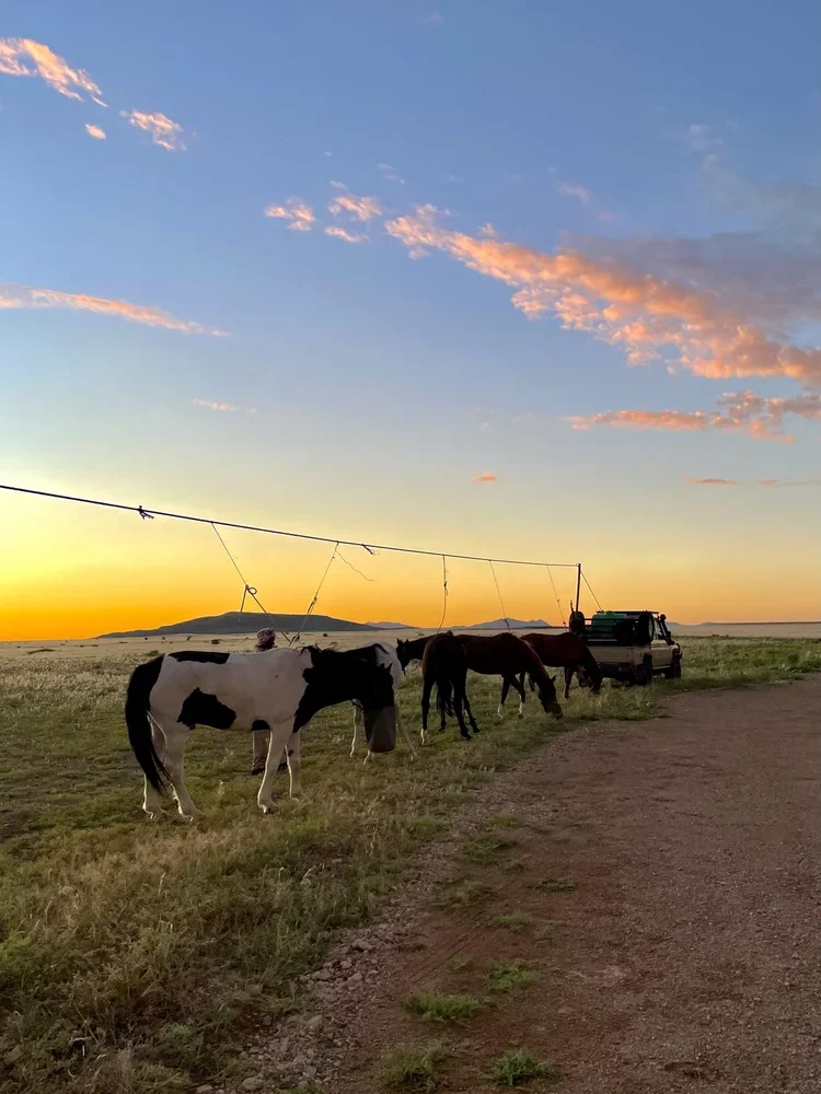 12_Adventure_Namibia_ RidingMuse_Gallery_IMG_4292.jpeg.webp