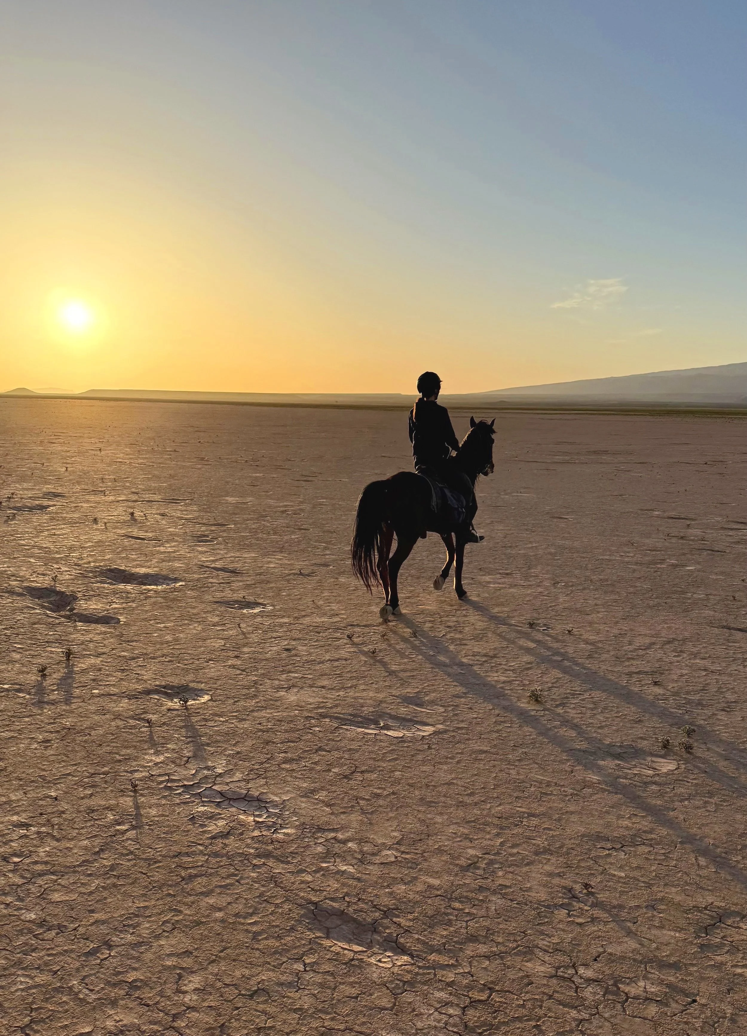 Morocco Desert Cavalcade Horse Safari Riding Muse