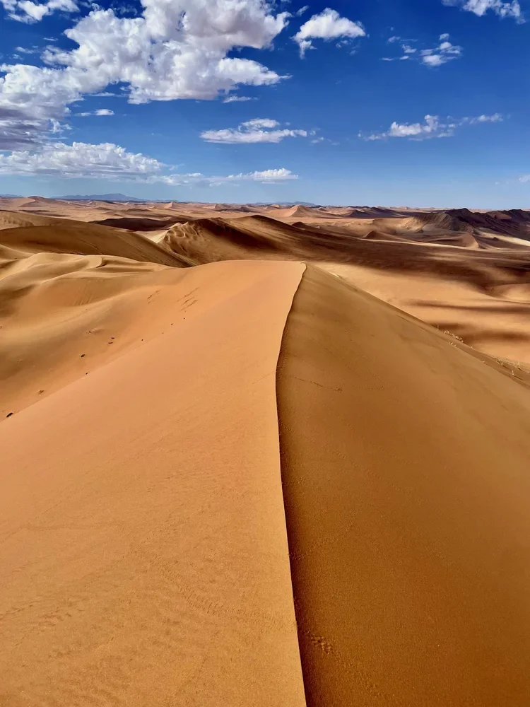 3_Landscapes_Graphical_ RidingMuse_Gallery_IMG_3979.jpg.webp