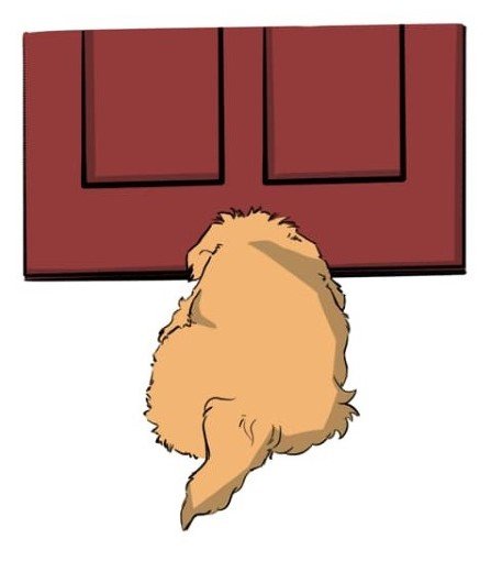 Does your pet perform separation-related behaviours?