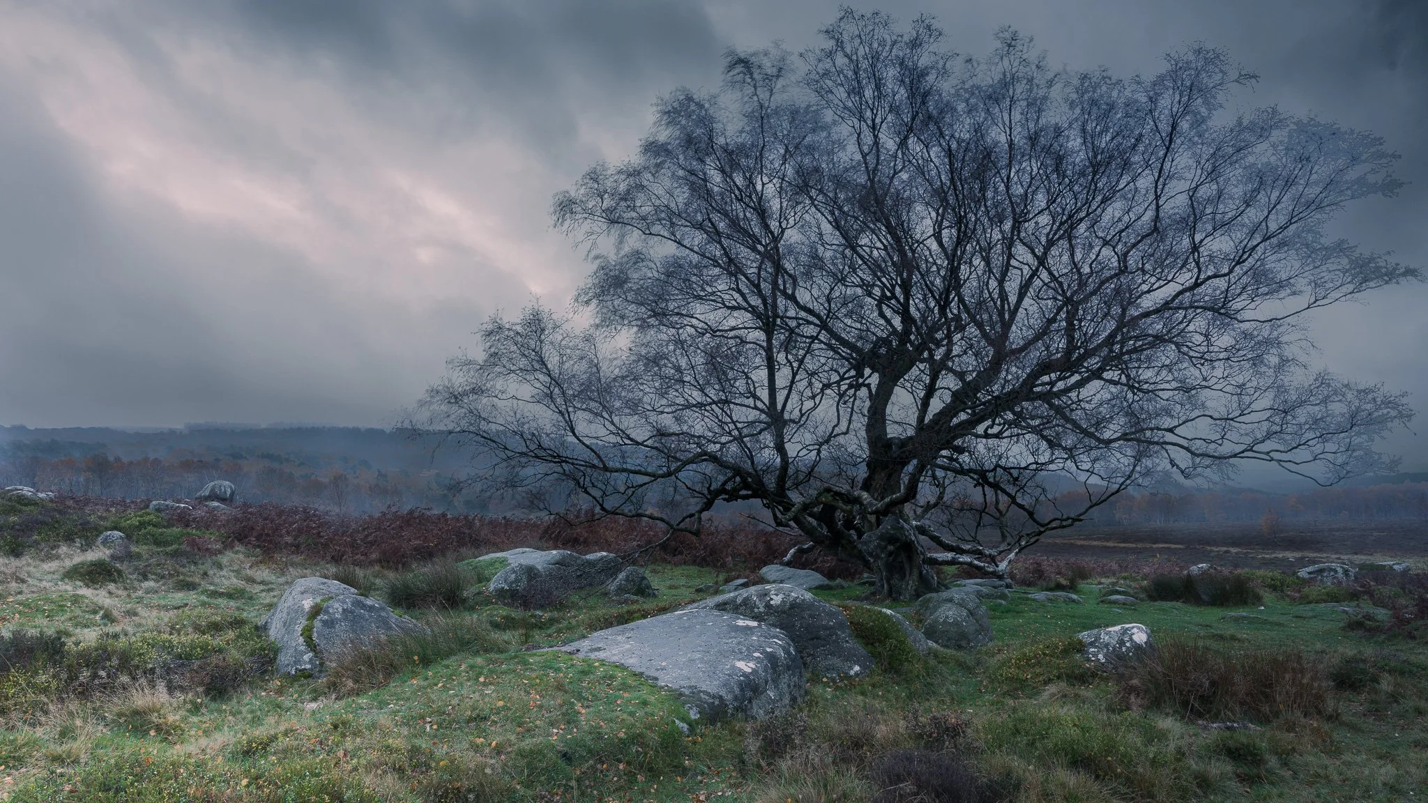 After The Storm  
 show thumbnails 