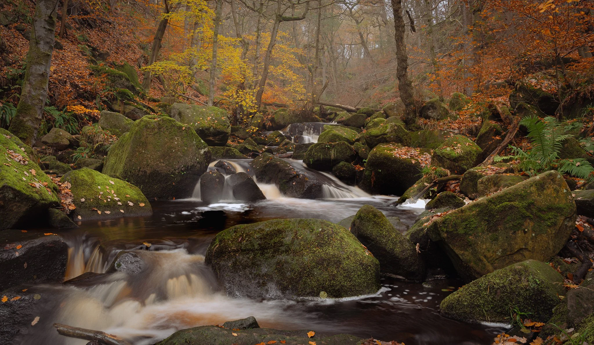 Padley Gorge  
 show thumbnails 