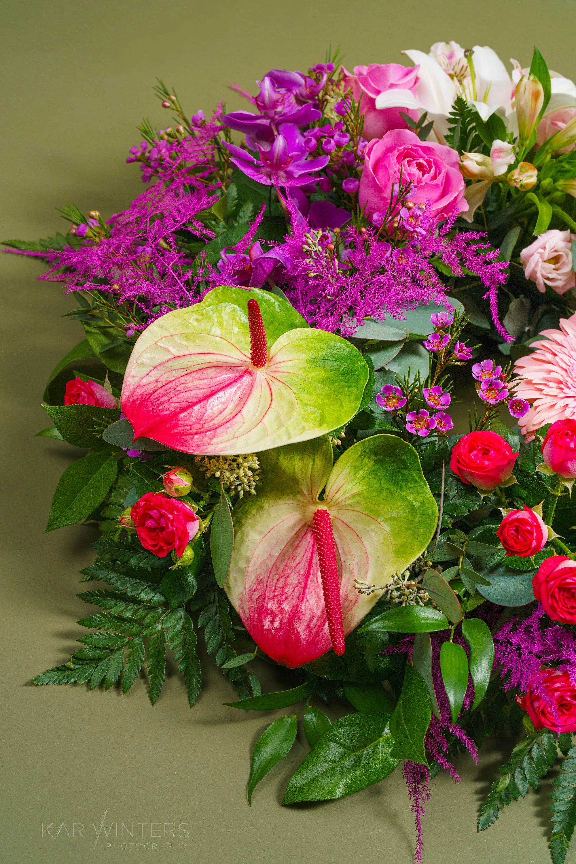DSC01808-Edit.jpg