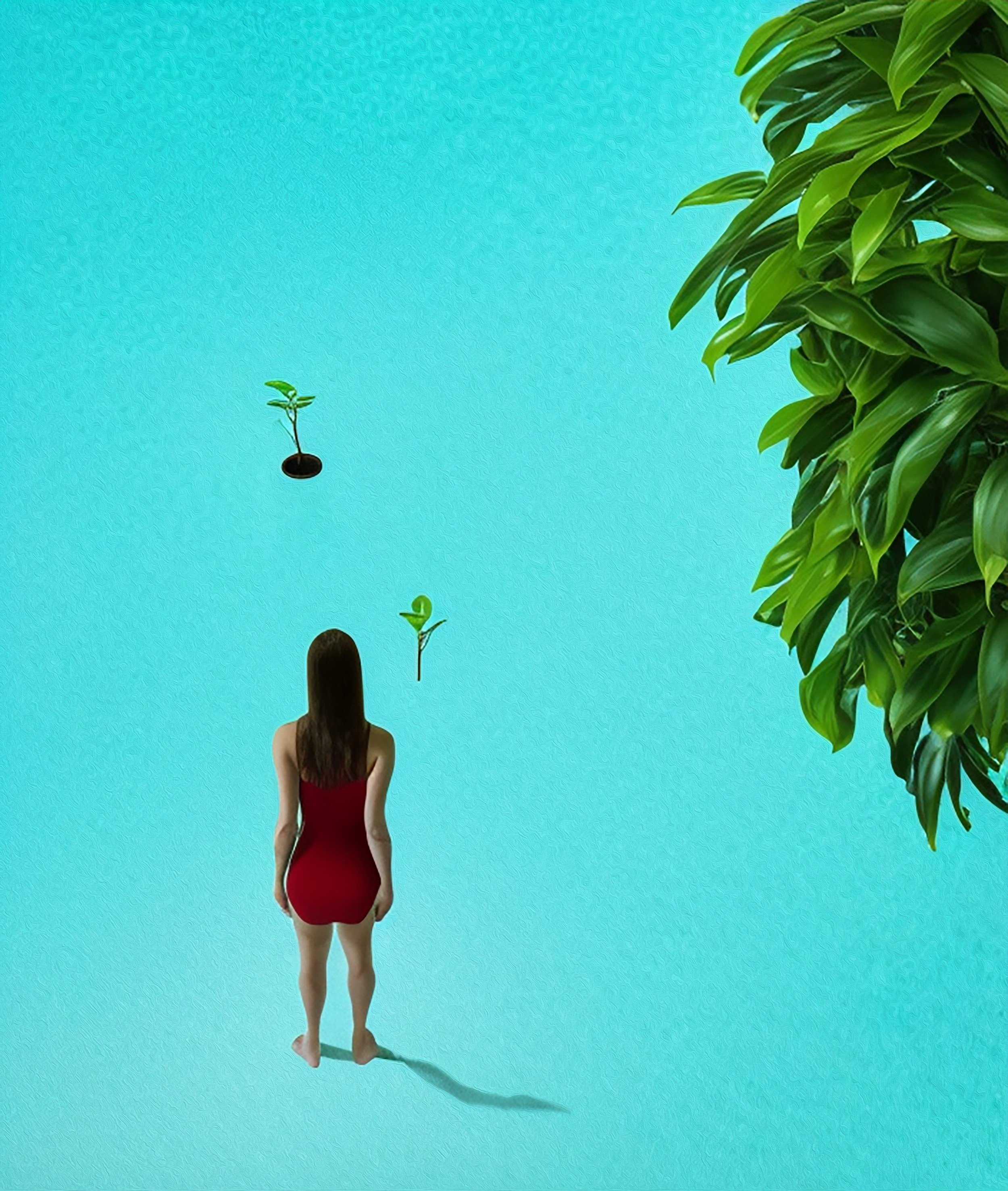 woman_standing_in_an_empty_swimming_pool_holding_a_ficus_plant_surrealism_1185963387.jpg