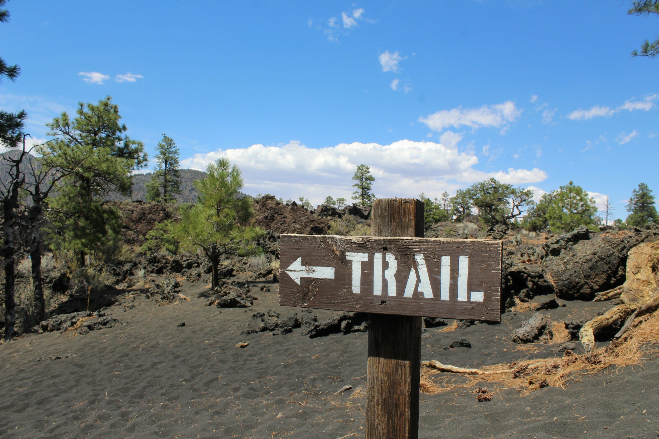Basecamp Check-In: July 2025