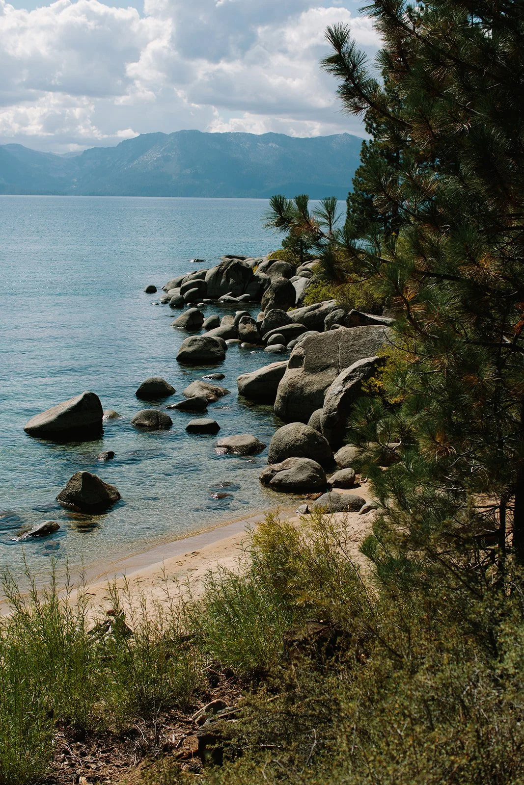 Outdoor environment used to support nervous system regulation, reflection, and recovery through nature-based learning.