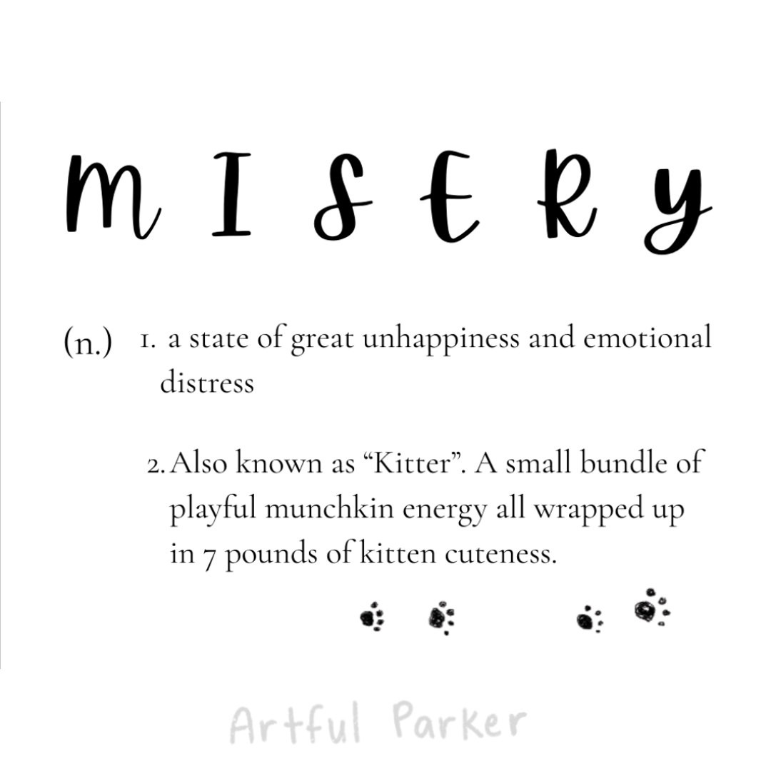 Misery Zine Website 2.png
