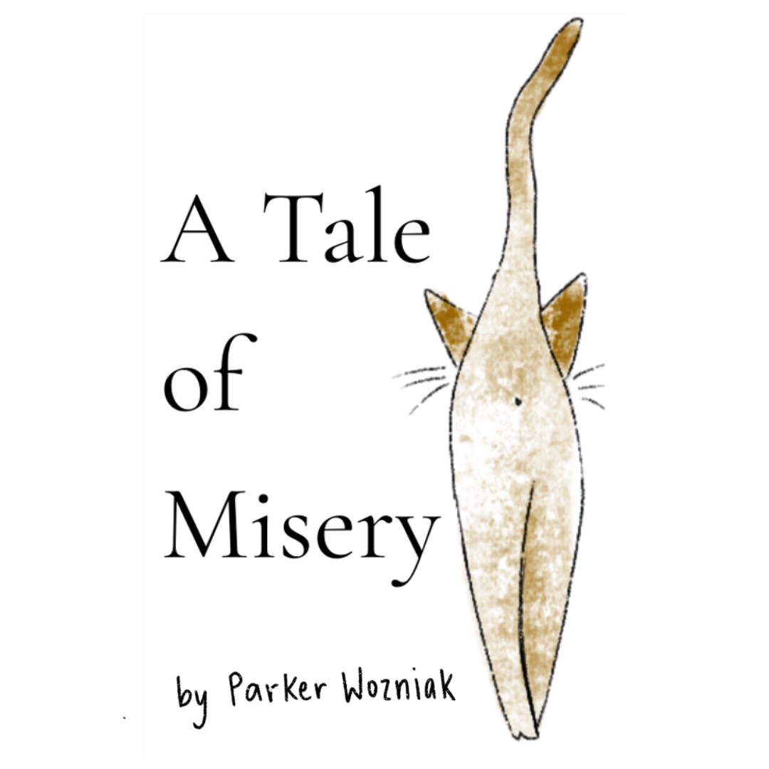 A Tale of Misery Zine