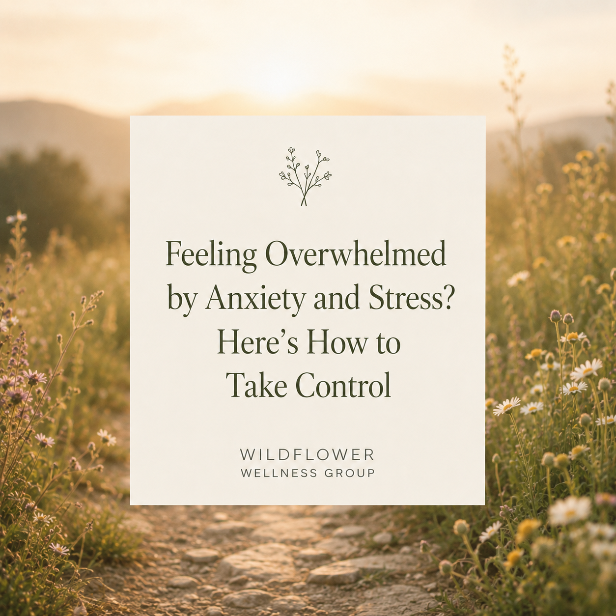 Feeling Overwhelmed by Anxiety and Stress? Here's How to Take Control