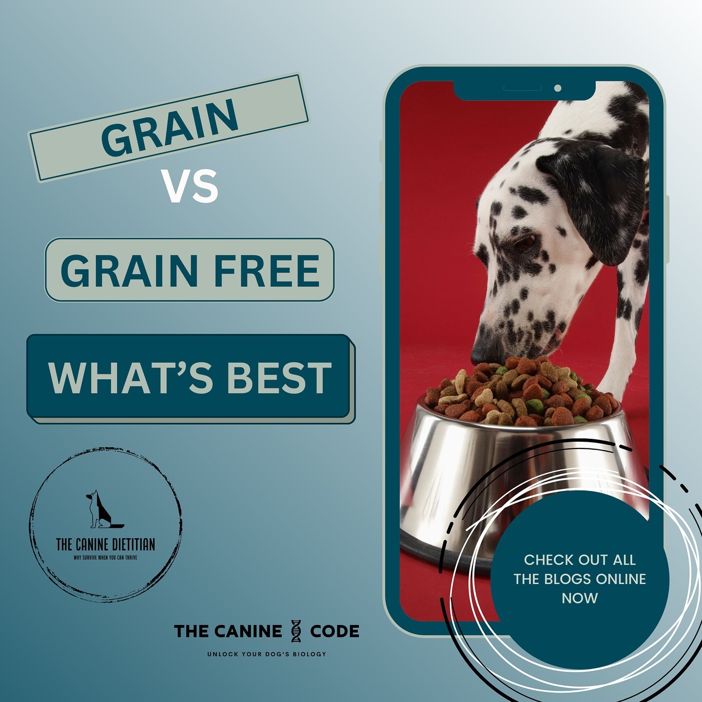 A question I get asked a lot&hellip;.here&rsquo;s a few points on grain vs grain free diets. Remember, never a one size fits all #grainfree #rawdogfood #dognutrition #doghealth #petfood #petnutritionist #petinfluencers #doginfluencers #dogfoods