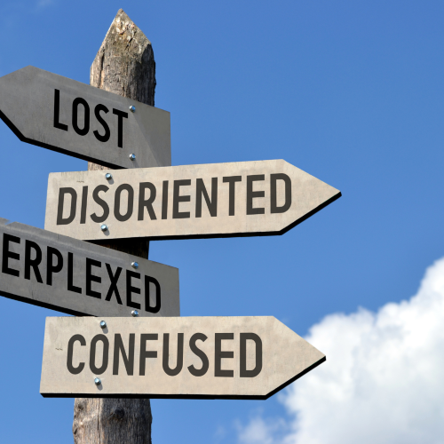 Meat Meal & Animal Derivative Myths in Dog Food: What Every Dog Owner Should Know