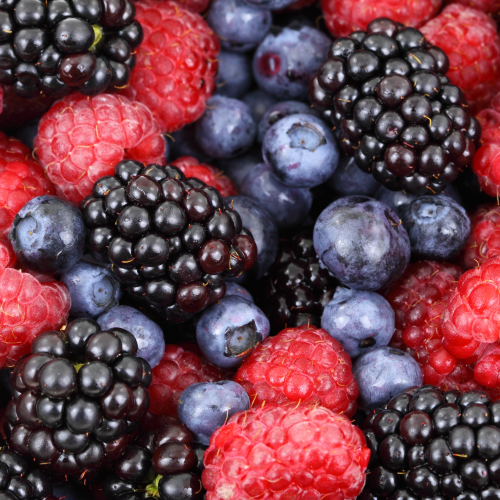 Berry Bark Frozen Treats