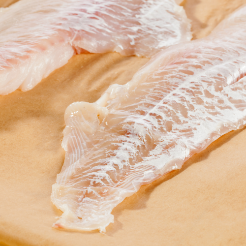 Fishy Protein Bites