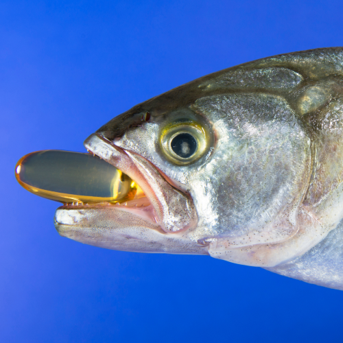 Why I Don’t Recommend Salmon Oil for Dogs as a Canine Nutritionist