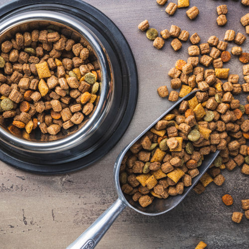 Pet Food Safety: What Dog Owners Should Know Before Choosing a Food