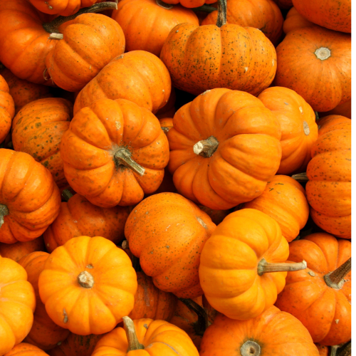 Pumpkin for Dog Diarrhoea: When It Helps and When it Doesn’t