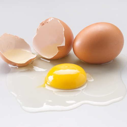 Can Dogs Eat Eggs? Raw vs Cooked, Portions &amp; Safety