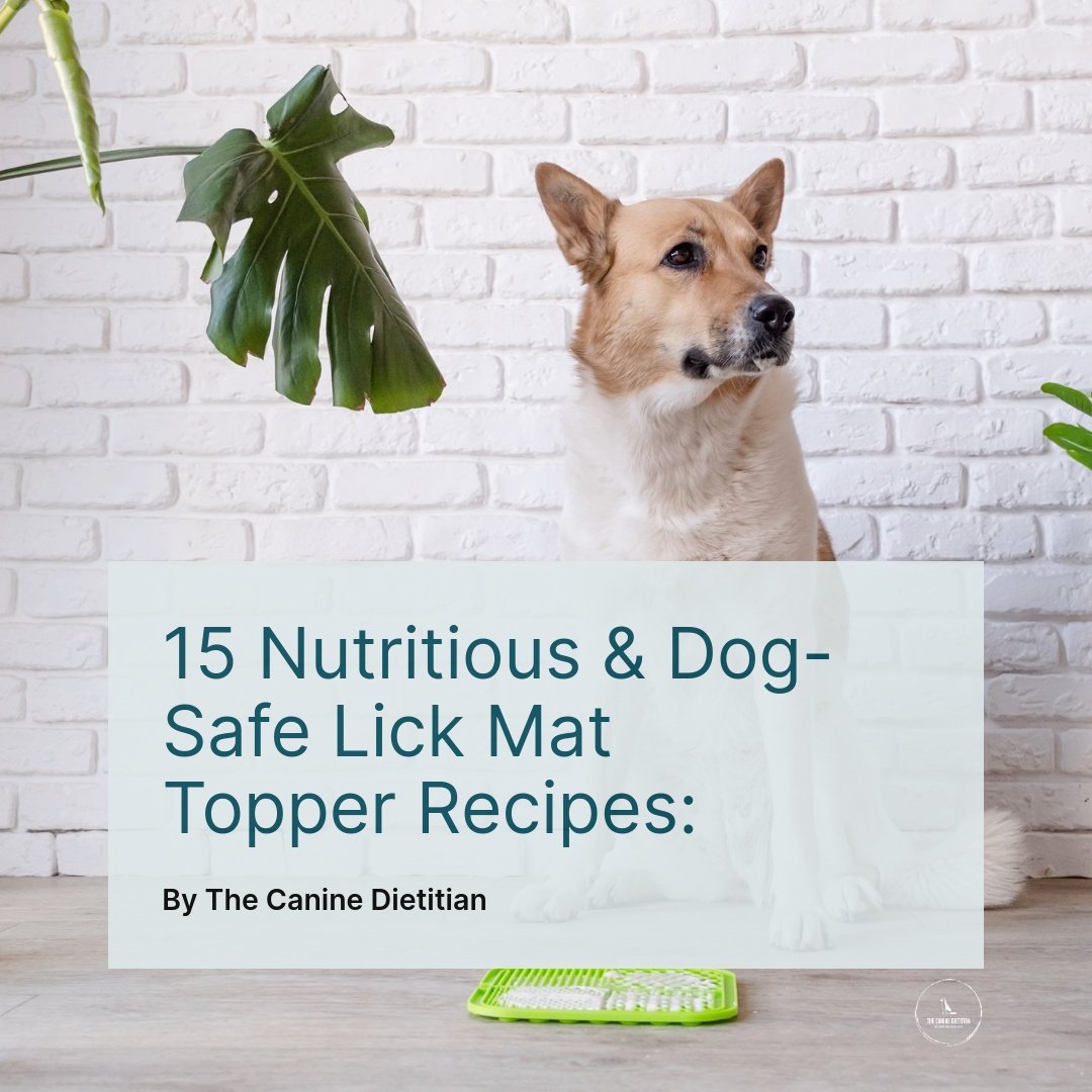15_Nutritious_Dog-Safe_Lick_Mat_Toppers_Easy_R-square-1.jpeg