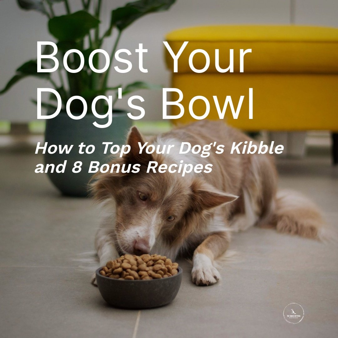 Boost_Your_Dogs_Bowl-square-1.jpeg