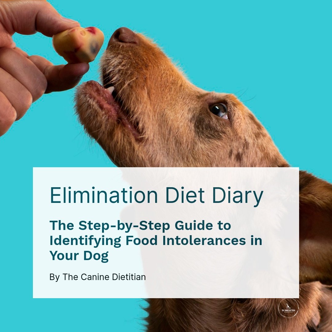 Elimination Diet Diary - The Step-by-Step Guide to Identifying Food Intolerances in Your Dog