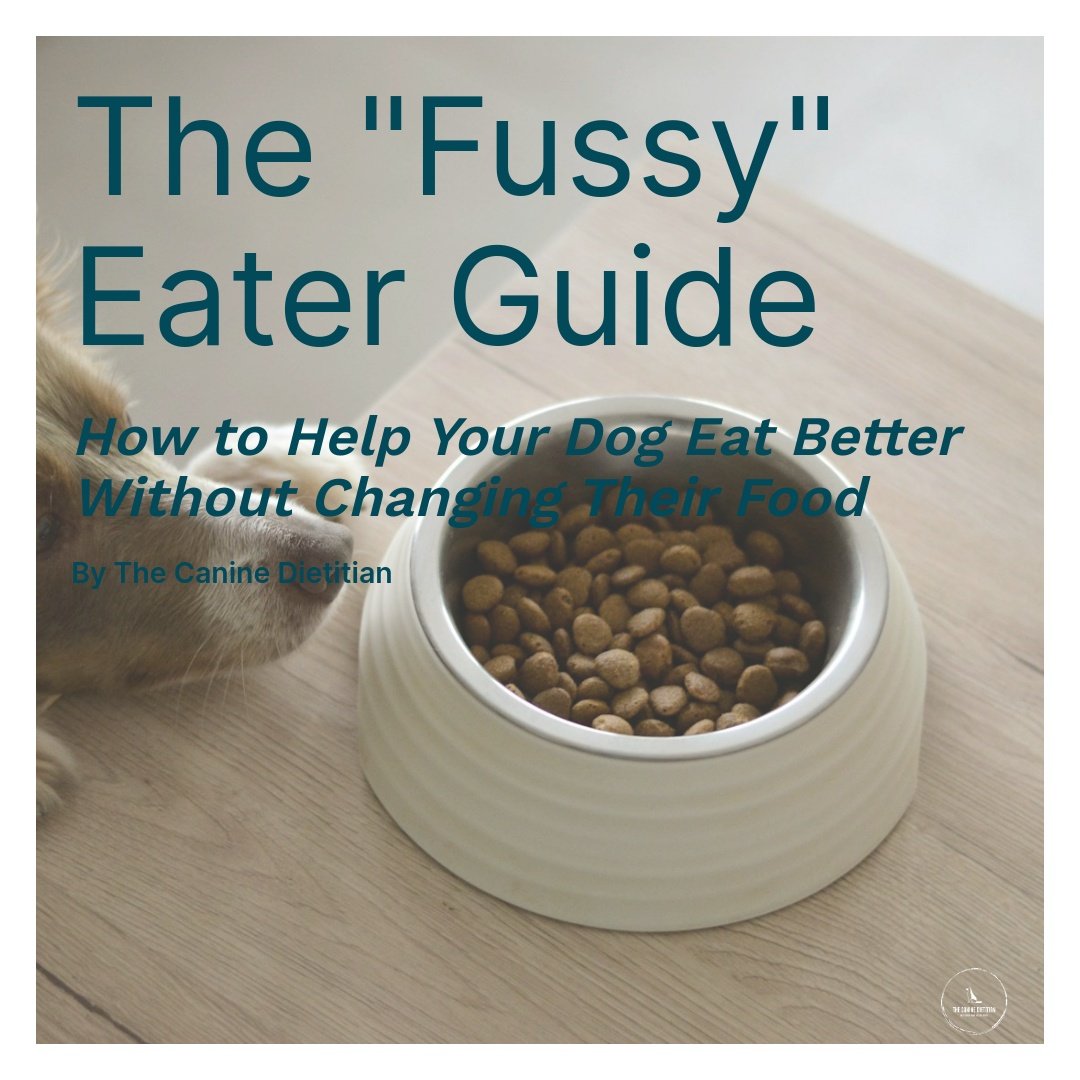The "Fussy" Eater Guide- How to Help Your Dog Eat Better Without Changing Their Food