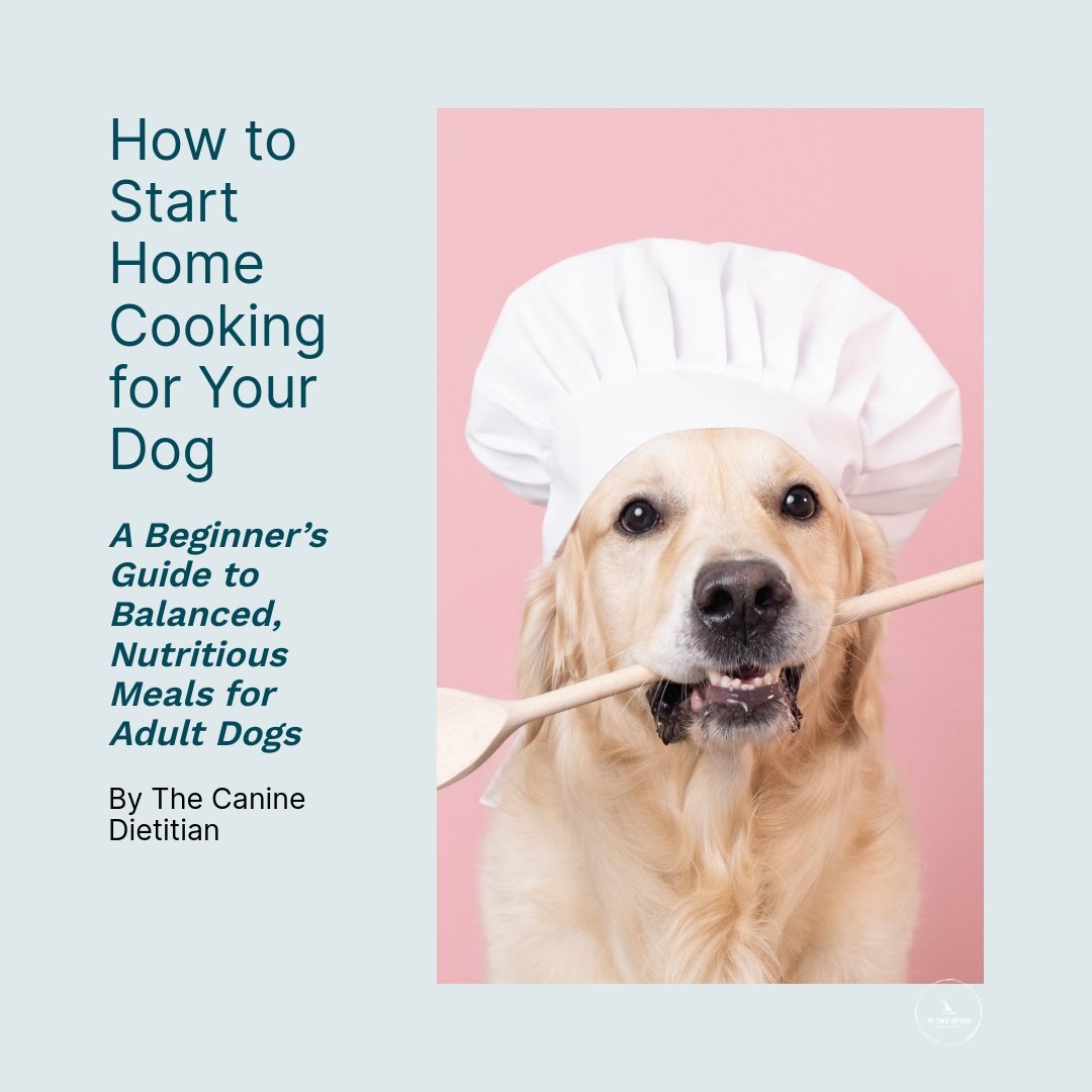 Home Cooking for Dogs: The Beginner’s Guide to Balanced, Nutritious Meals for Healthy Adult Dogs