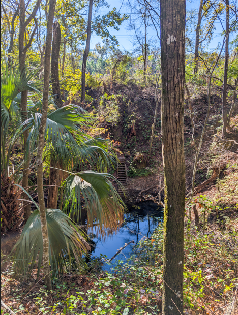 Picture of the top of Mill Creek Sink, courtesy of Chicks of the Woods on Instagram.