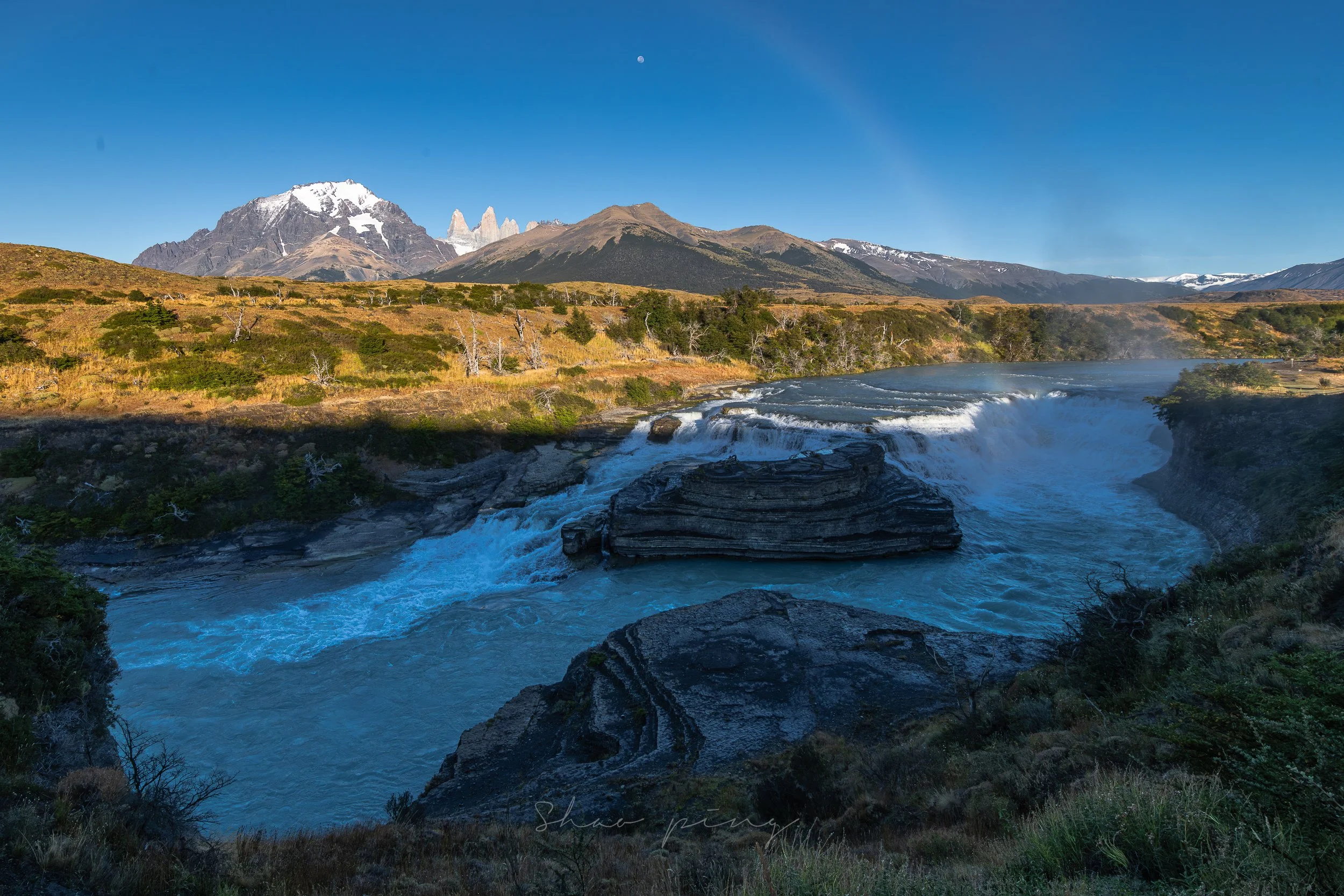 Torres del Paine (Puma)