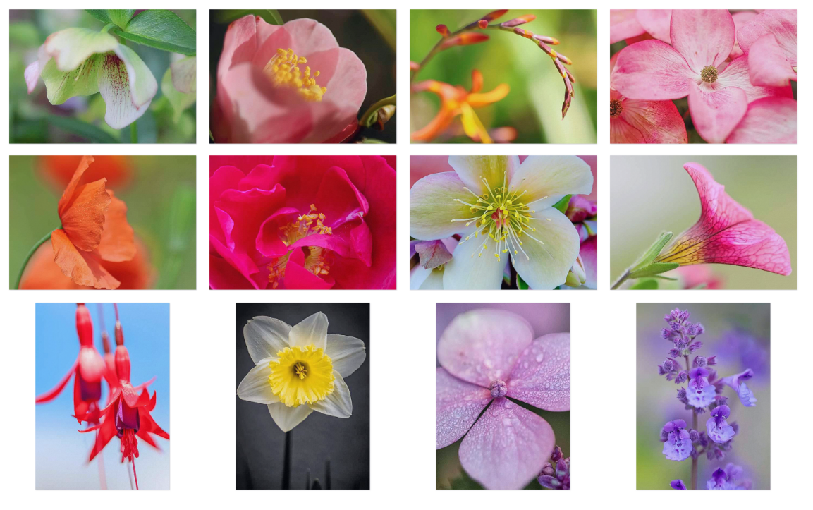 Flower Notecards 2025