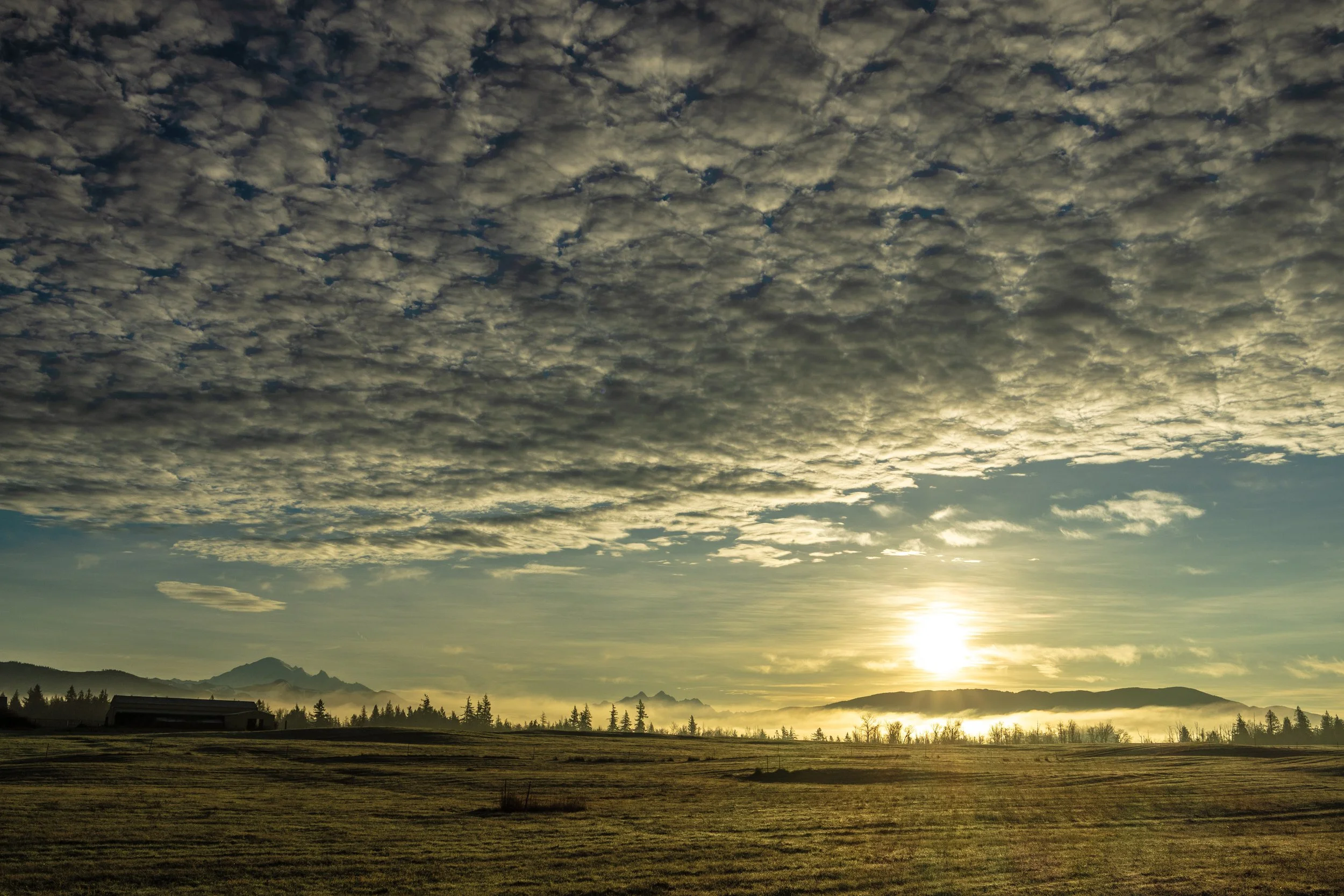 Whatcom Misty Morning