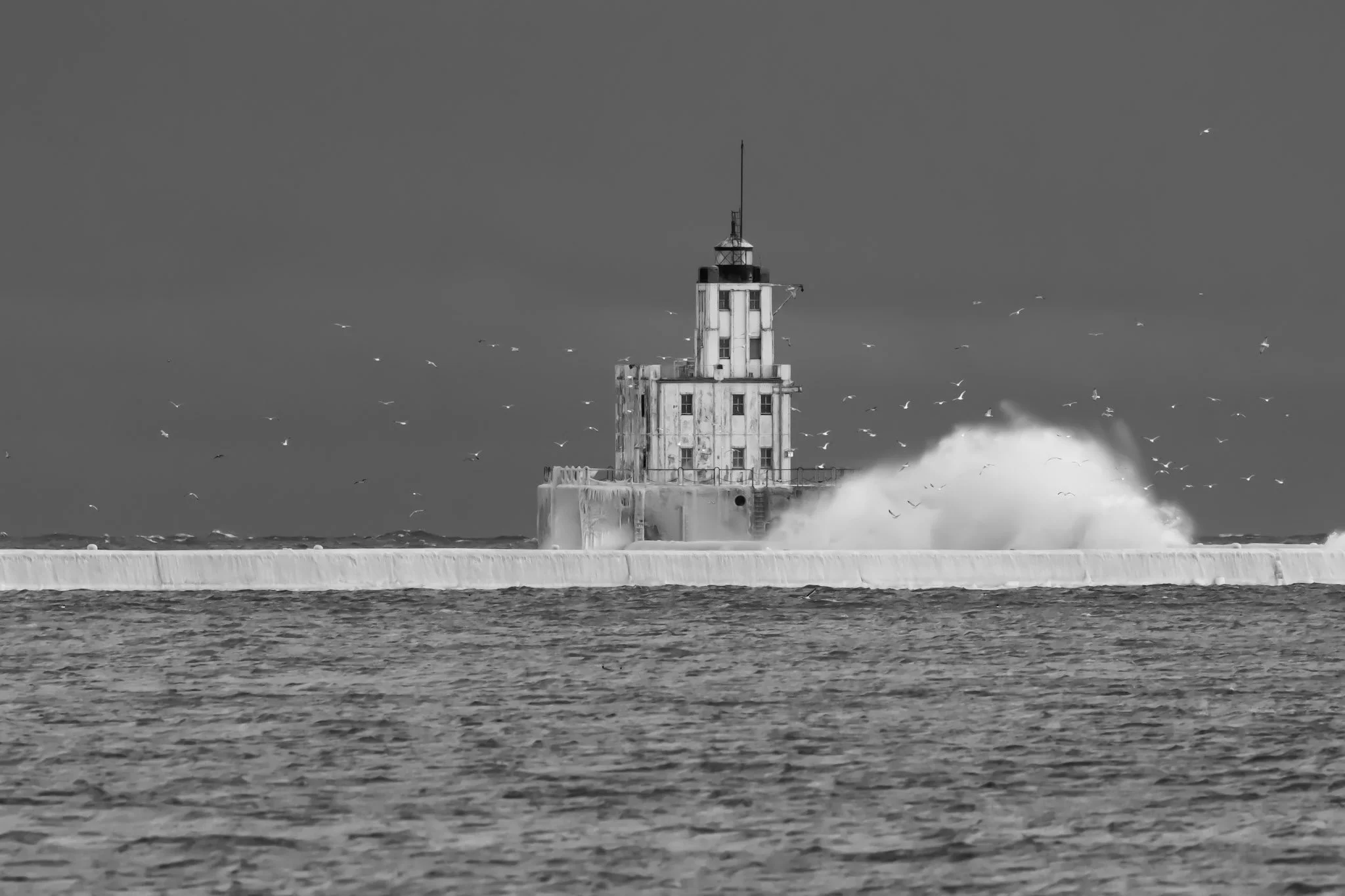 Frozen Wave and Gulls