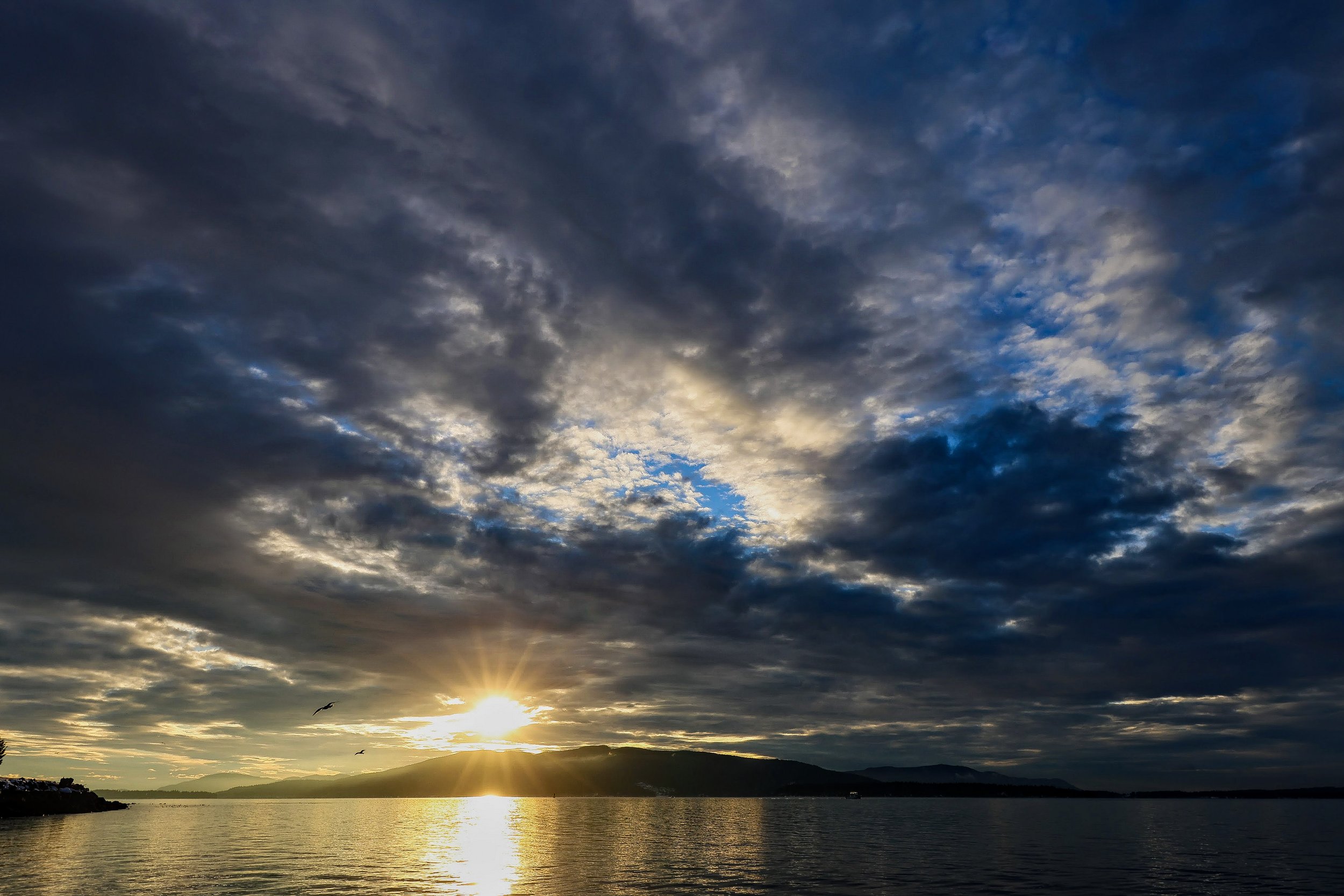 11-3L4A3480-EDIT.jpg