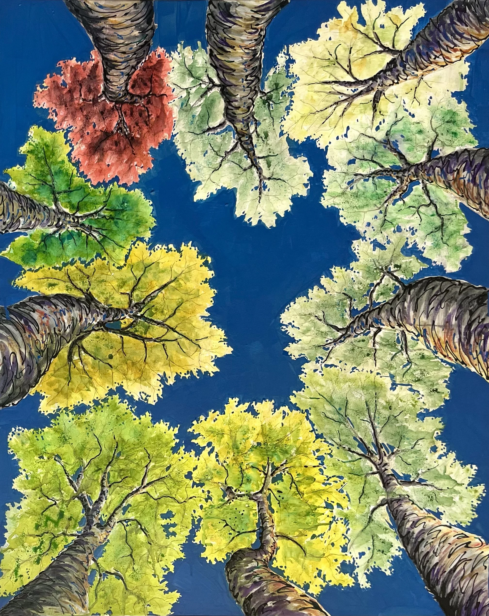 Blue Sky and Circle of Oaks.jpg