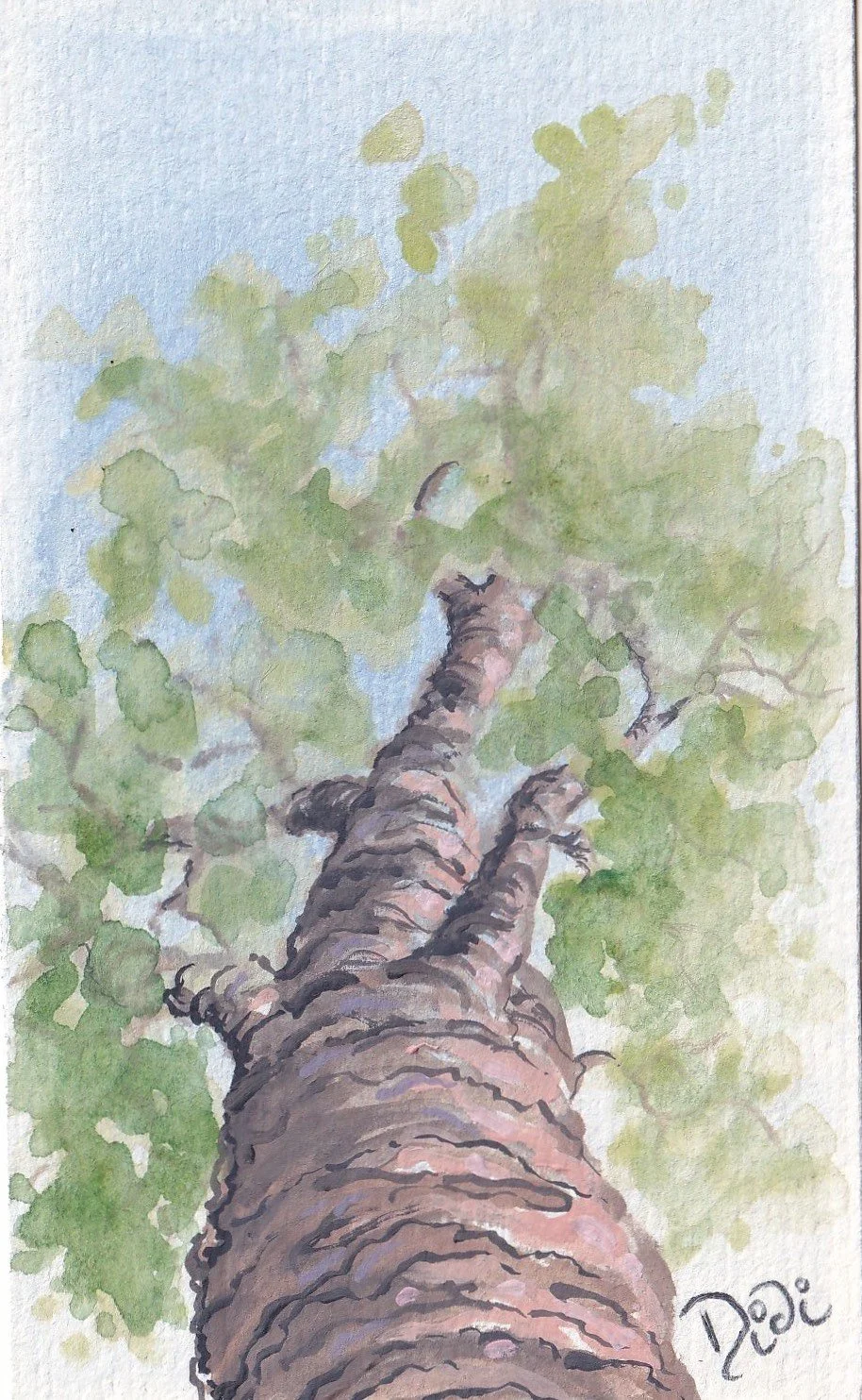 Twin Oaks Mini 2.jpg