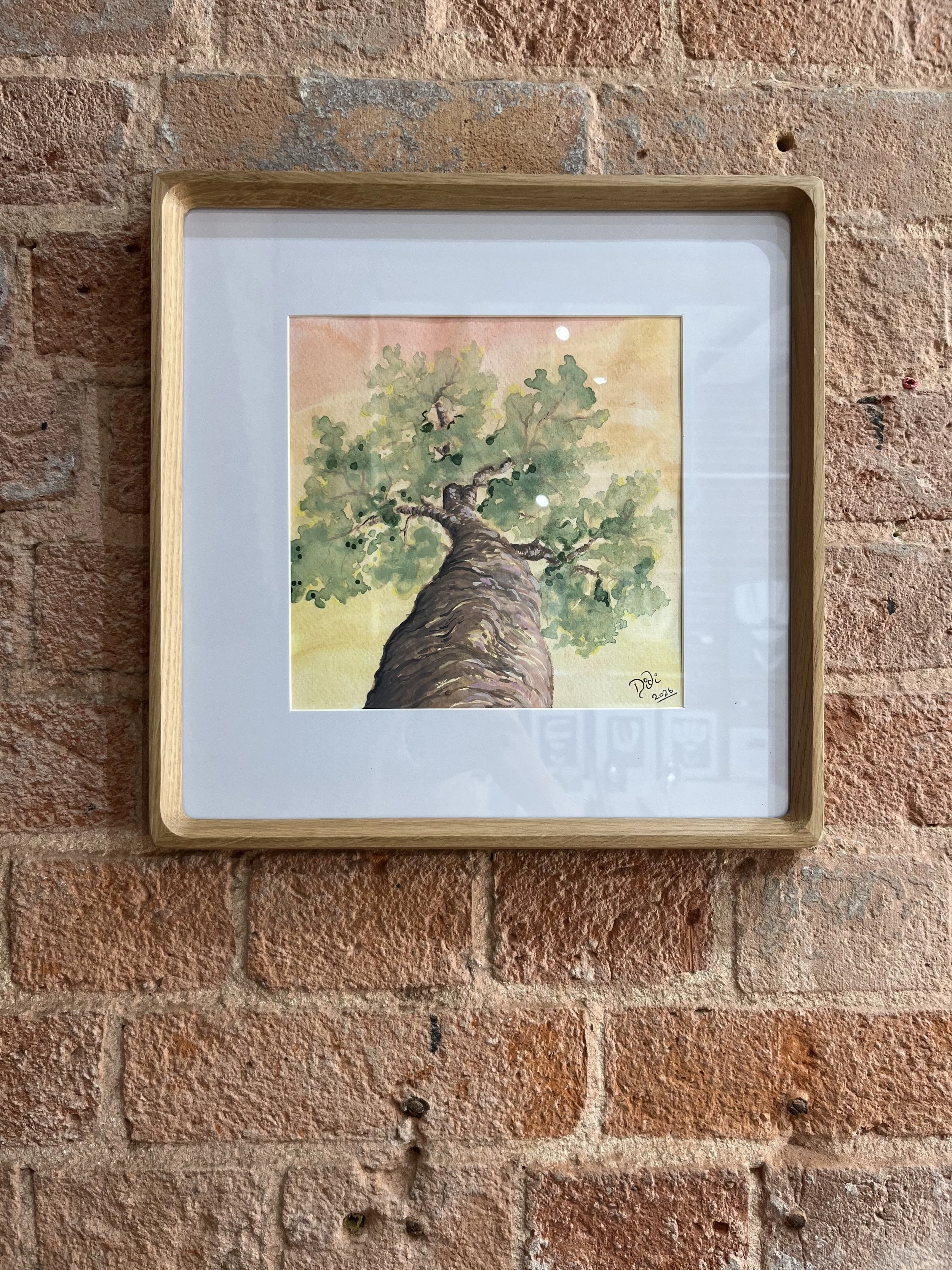 Oak at Sunset in Cool Frame.jpg