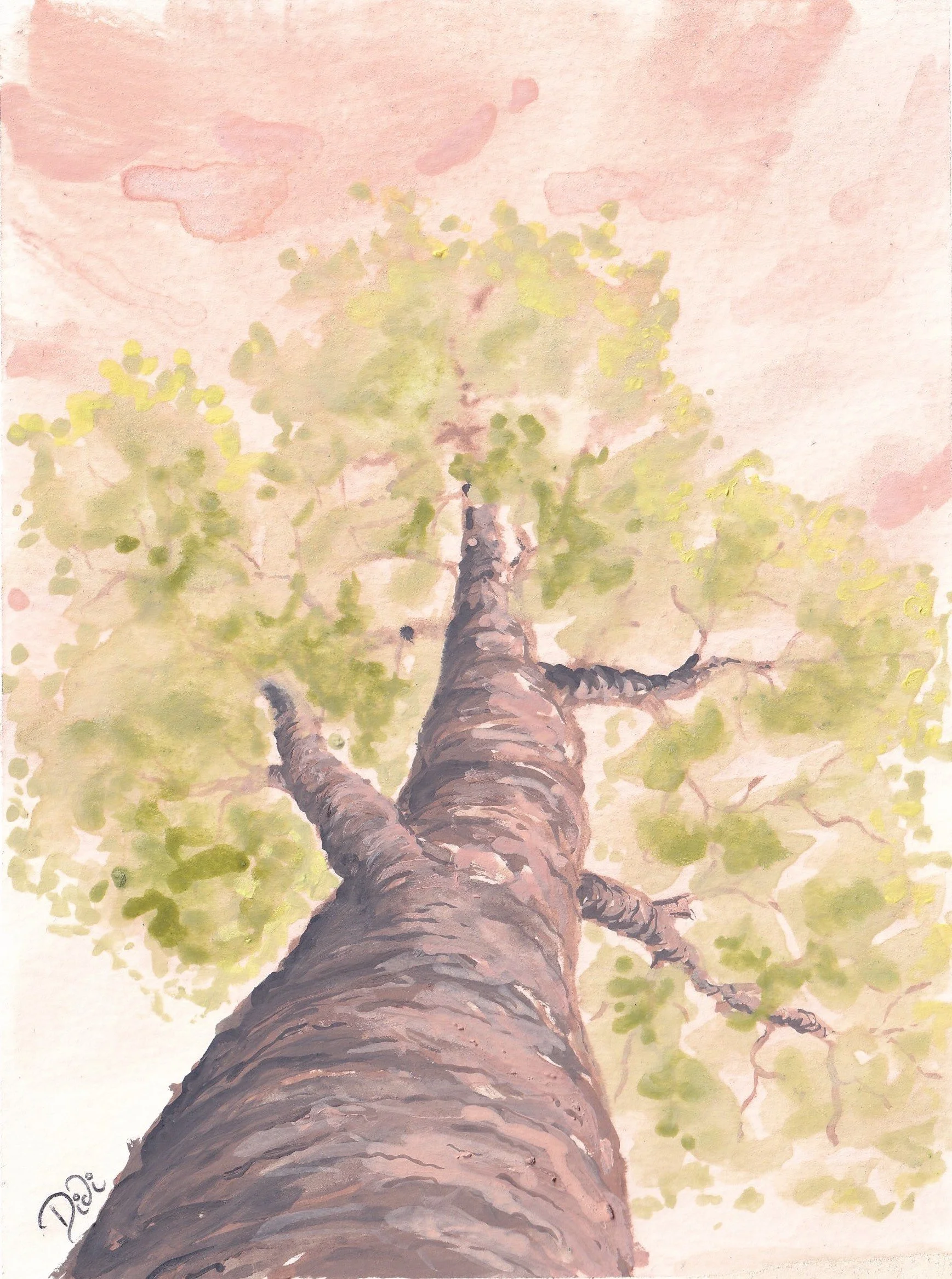 Another oak tree at Sunset.jpg