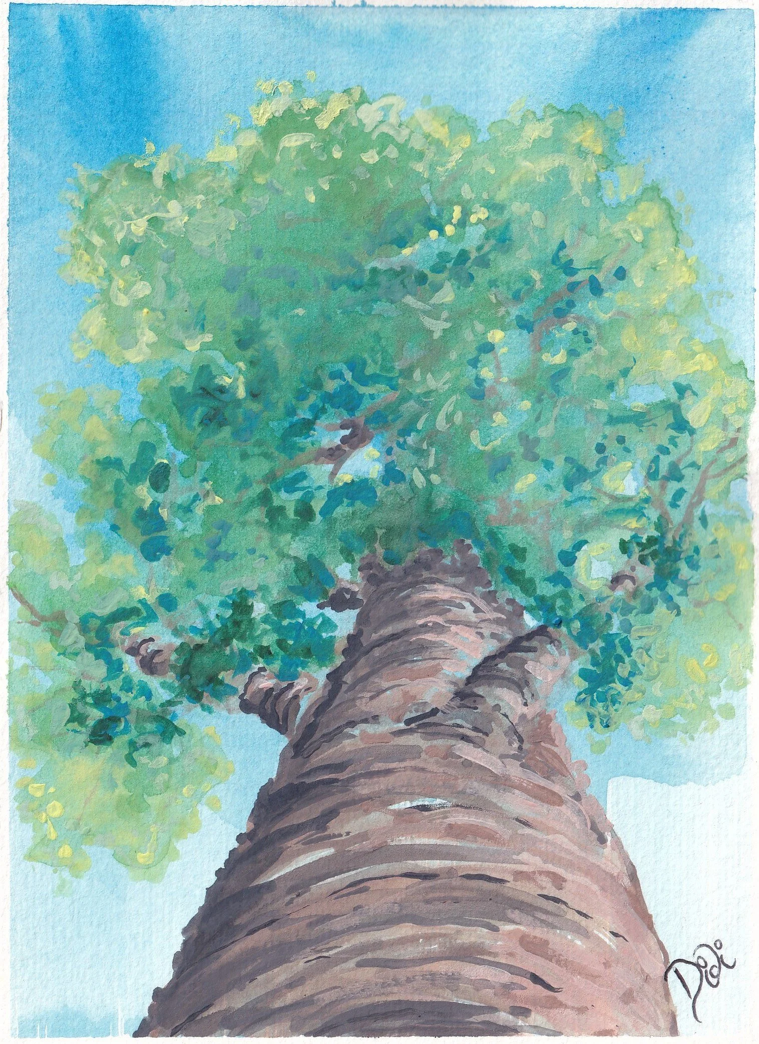 Summer Oak.jpg