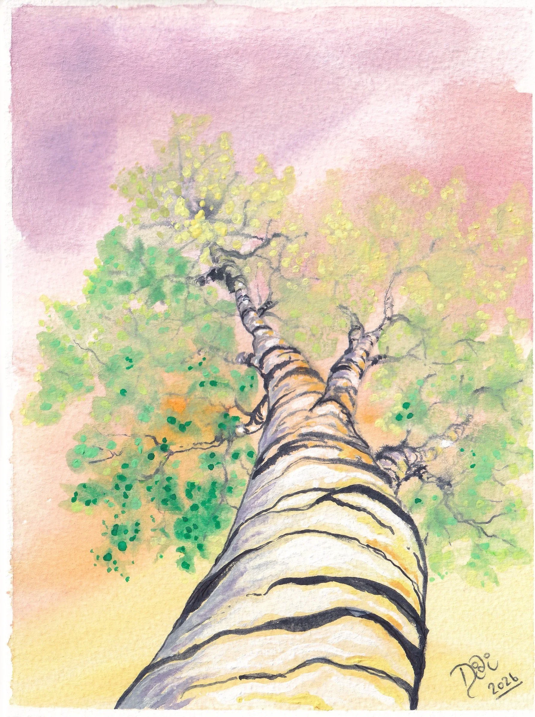 Summer Sunset Birch 6x8in.jpg