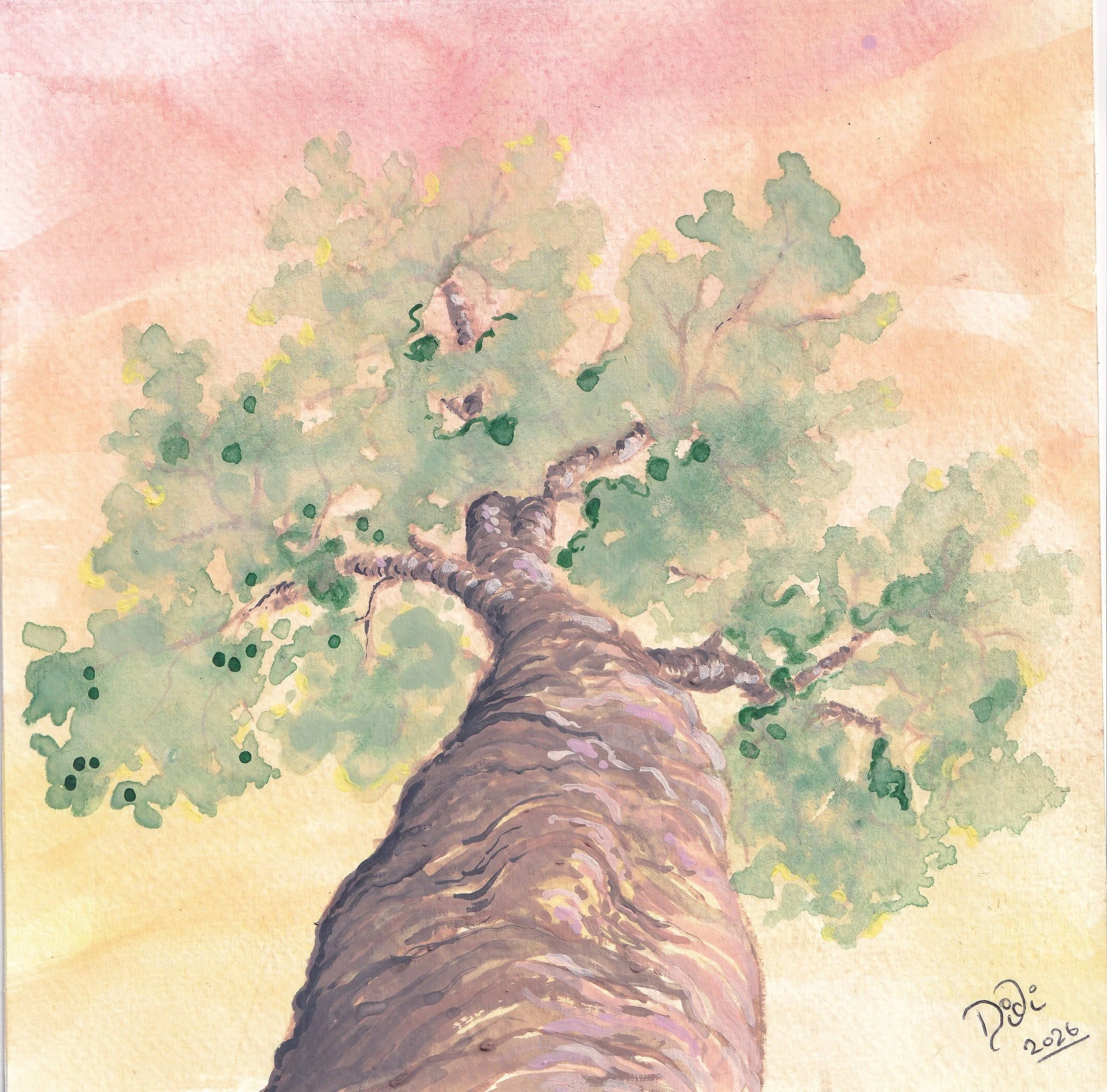 Summer Oak at Sunset.jpg