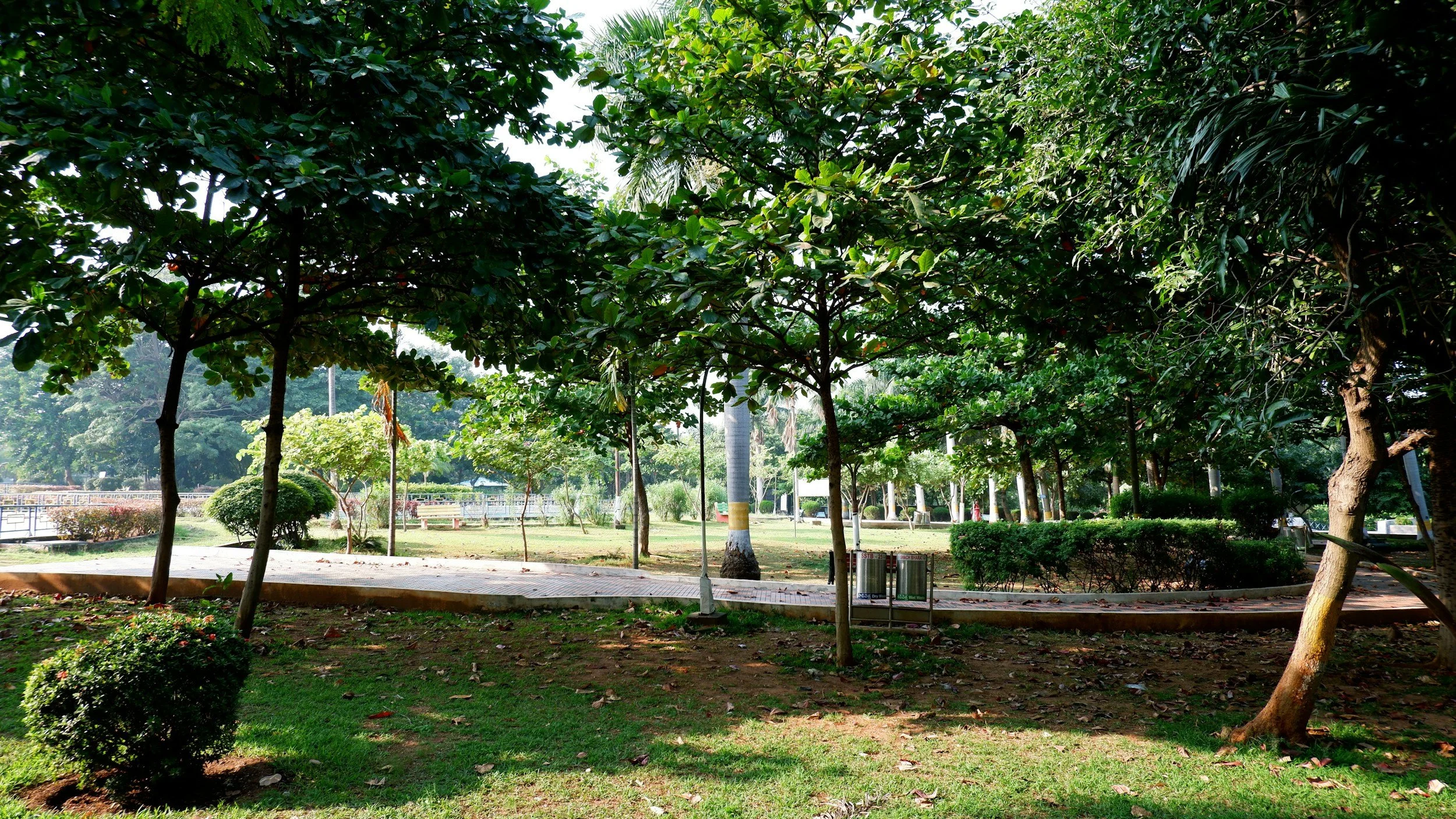 A park scene with lush green trees and bushes, a paved walkway, and a grassy area with scattered leaves. In the background, there are trees, a fence, and a clear sky.