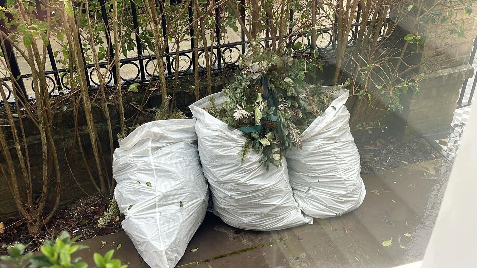 Garden Clearance in Clapham, clearing three large white garbage bags filled with yard debris, with some foliage and branches sticking out, placed on a wet sidewalk near a black iron fence and brick wall in an outdoor area.