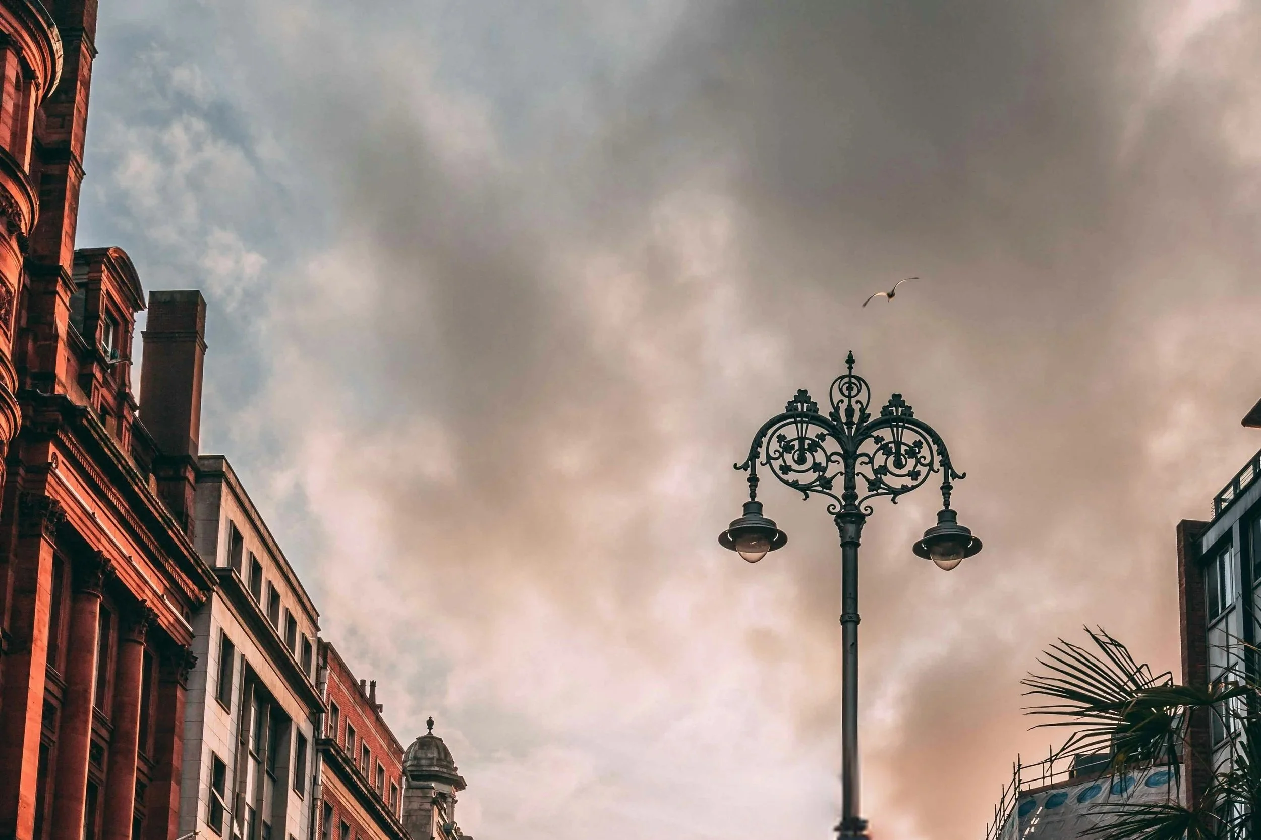 In the Shadow of the Mother: The Politics of Family in Maeve Brennan’s “The Visitor”