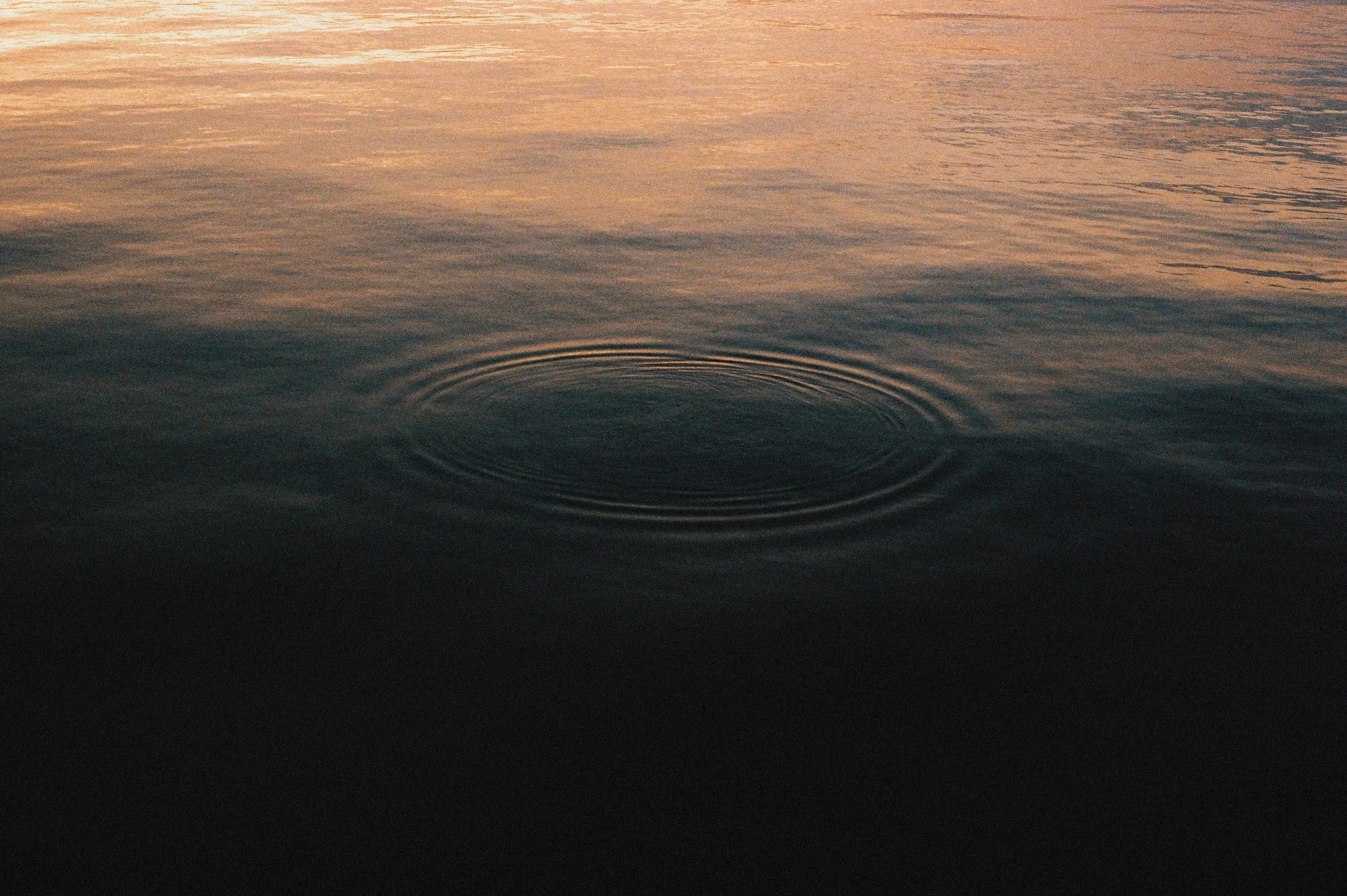 Time and Image in the Eyes of Joan Didion and E. B. White